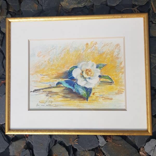 dessin pastel robert fily cadre merveille et bout de chandelle