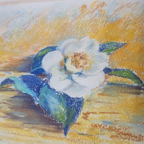 dessin pastel robert fily merveille et bout de chandelle 1