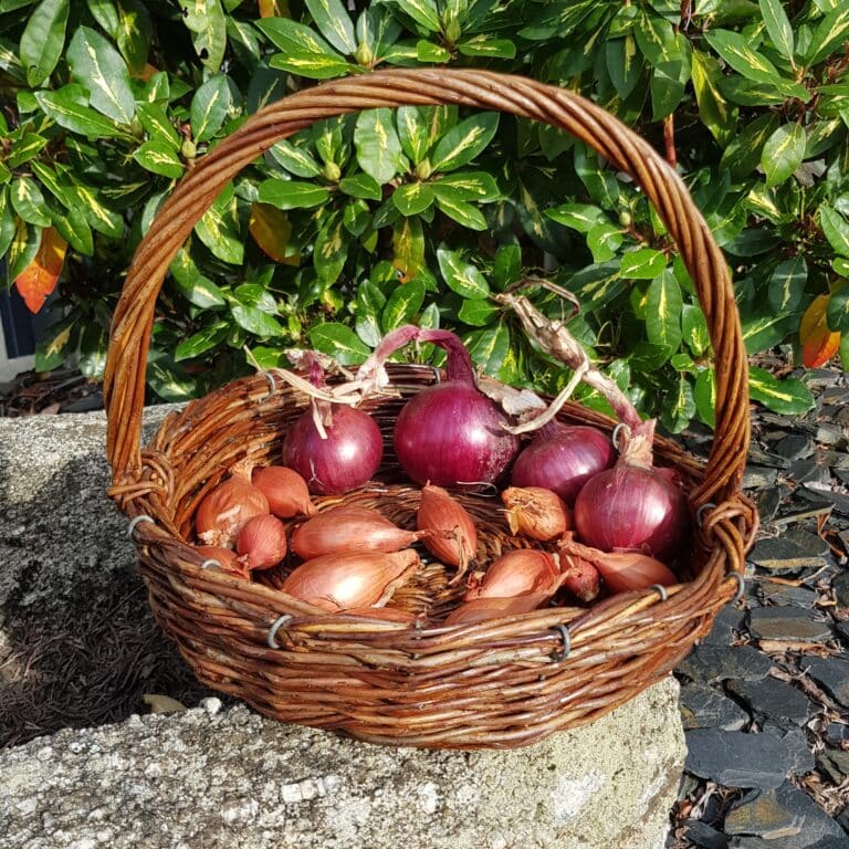 panier artisanal osier brut campagne merveille et bout de chandelle