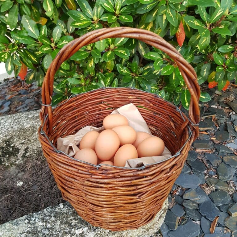 panier osier brut artisanal campagne merveille et bout de chandelle