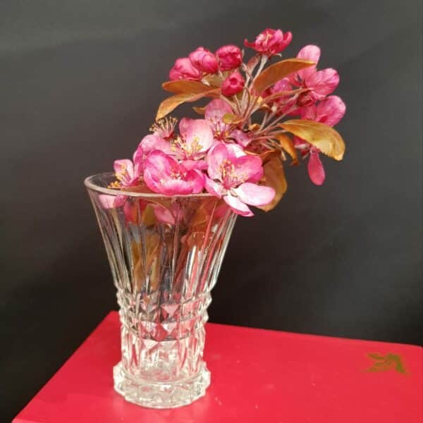 petit vase en verre bouquet merveille et bout de chandelle scaled